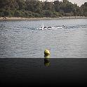 Comen Cup 2009 339